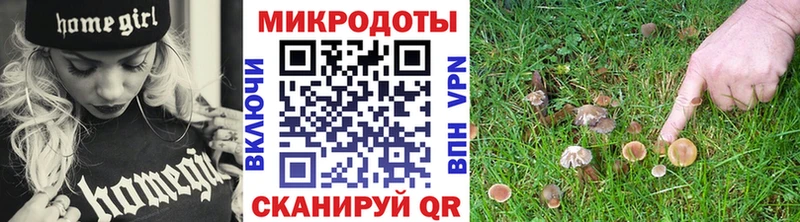 Купить закладки  Слюдянка  Псилоцибиновые грибы Magic Shrooms 